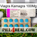 Viagra Kamagra 100Mg new07